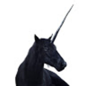 Meet your Posher, Anastassiya